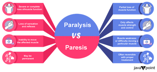 Difference Between Paraplegia and Paraparesis - javatpoint