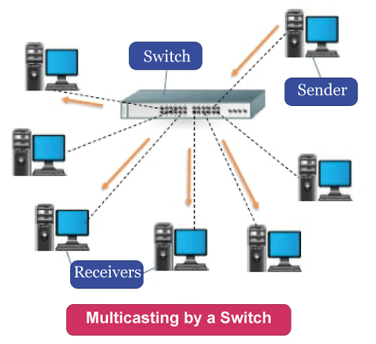 Difference Between Router and Switch