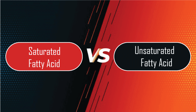 Difference between saturated and unsaturated fatty acids