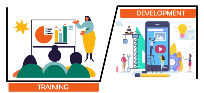 Difference Between Training and Development