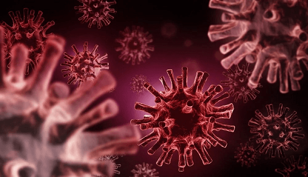 Difference Between Viruses and Viroids