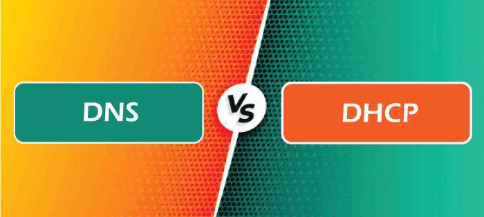 Difference between DNS and DHCP