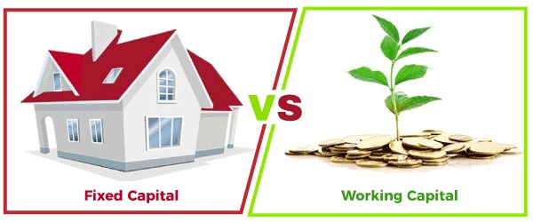 Fixed Capital vs Working Capital