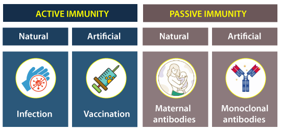 Herd Immunity vs Natural Immunity