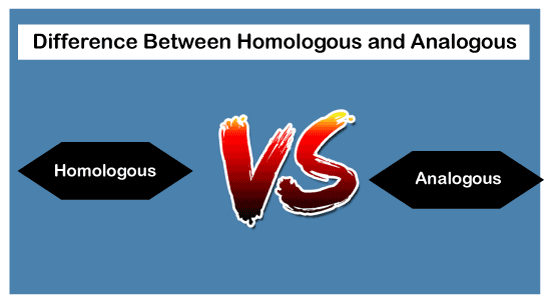 Homologous vs Analogous