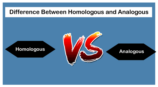 Difference Between Homologous And Analogous Javatpoint