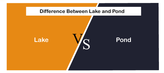 Lake vs Pond
