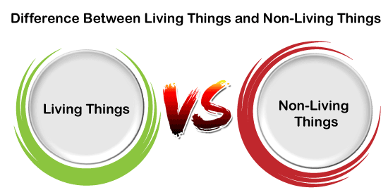 Difference between Living Things and Non-Living Things