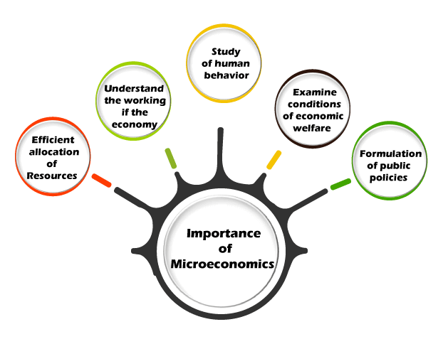 Distinguish Between Micro and Macro Economics