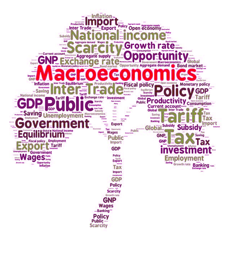 micro and macro economics distinguish between