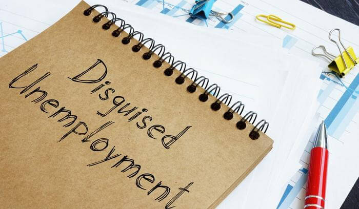What is the difference between Disguised Unemployment and Seasonal Unemployment