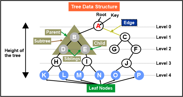 Application of Binary Tree