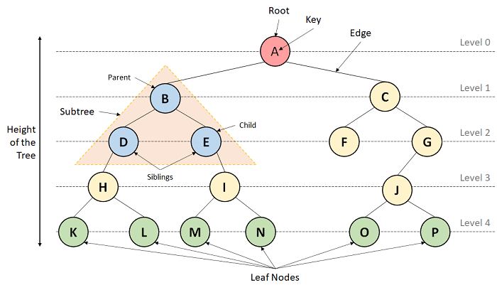 An Introduction to Data Structures