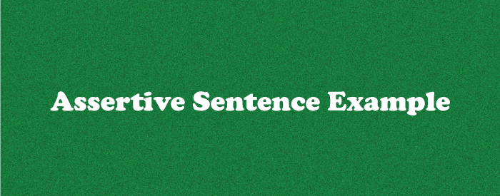 Assertive Sentence Example
