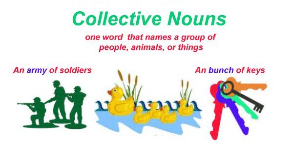 Collective Noun - Javatpoint