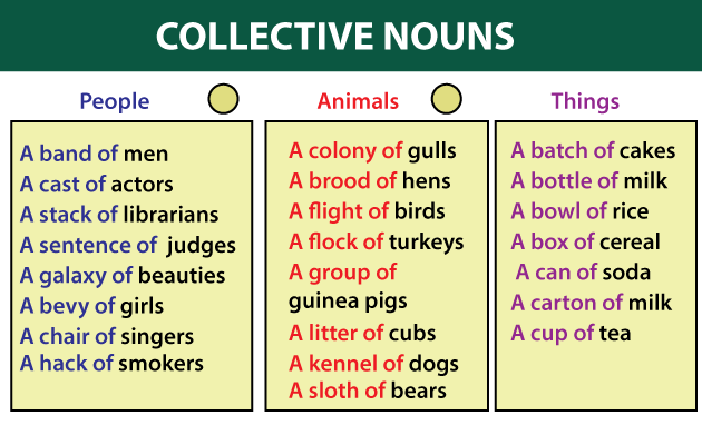 Collective Noun