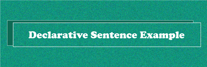 Declarative Sentence Example