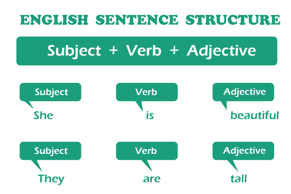 English Sentence Javatpoint