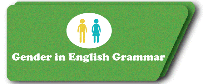 Gender in English Grammar