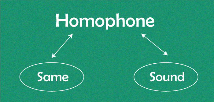 Homophones Words