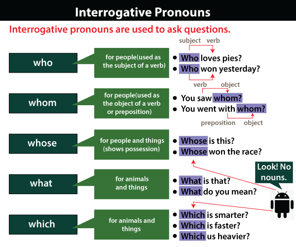 Interrogative Pronouns - Javatpoint