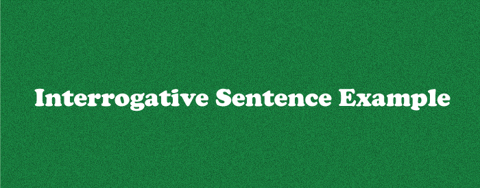 Interrogative Sentence Examples
