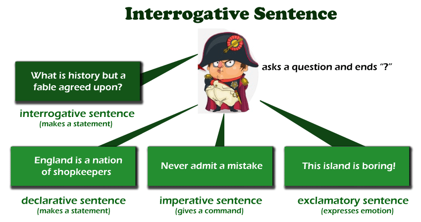 Interrogative Sentence Javatpoint