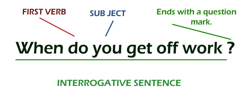 Interrogative Sentence