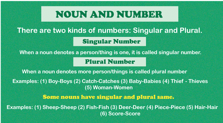 Number in English Grammar
