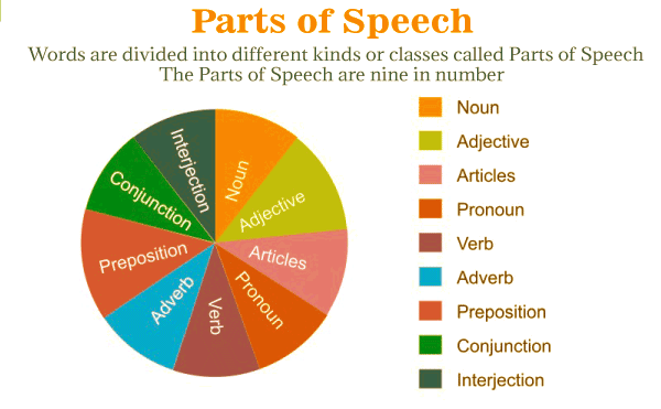Parts of Speech Exercises