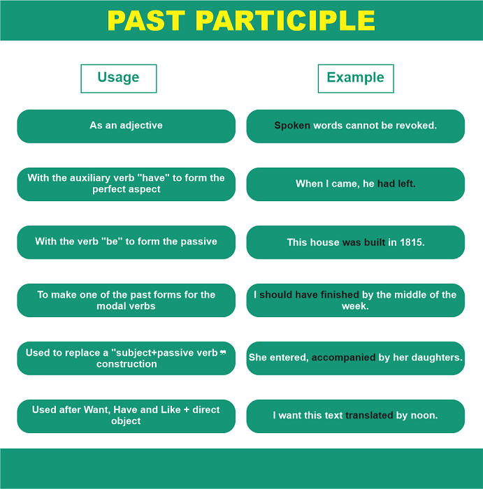 Past Participle Examples