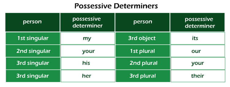 Possessive Determiners