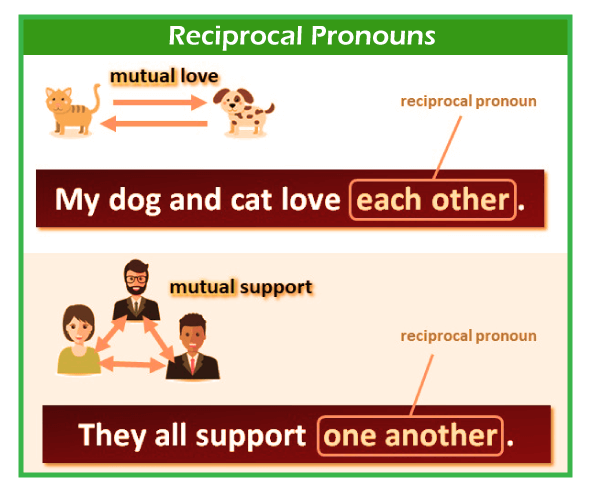 Reciprocal Pronouns Javatpoint