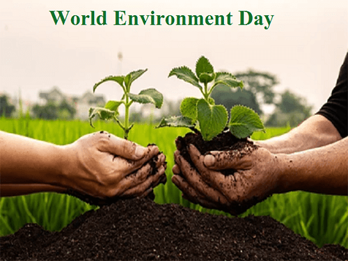 Essay on Environment Day