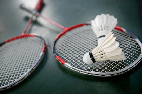 Essay on My Favorite Game Badminton
