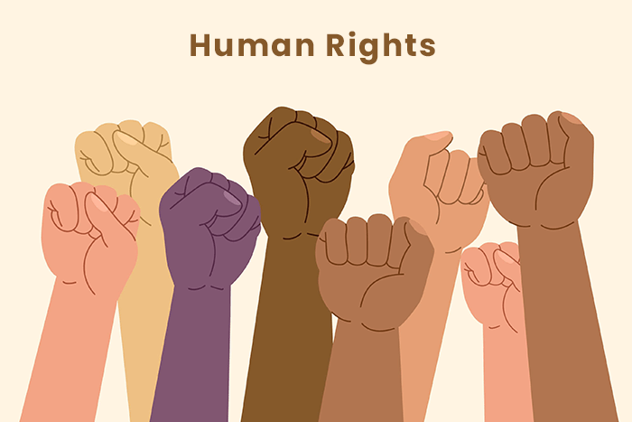 Human Rights-Essay