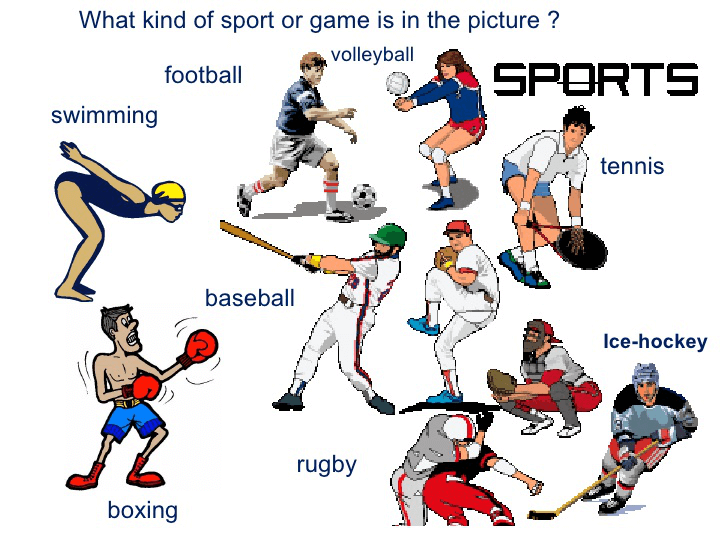 Importance of Games and Sports Essay