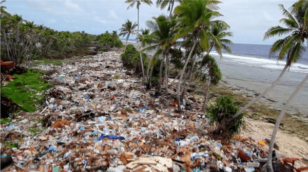 Plastic Pollution Essay