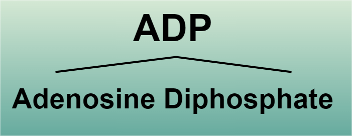 ADP Full Form