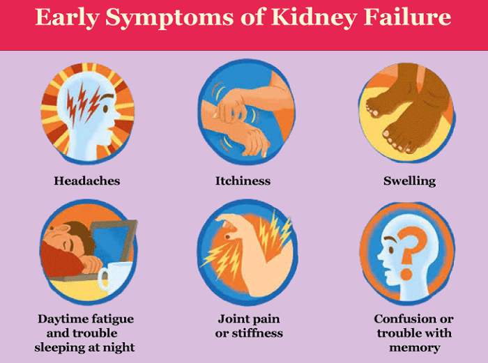 CKD Full Form Chronic Kidney Disease JavaTpoint