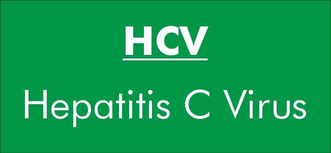 HCV表格