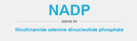 NADP Full Form