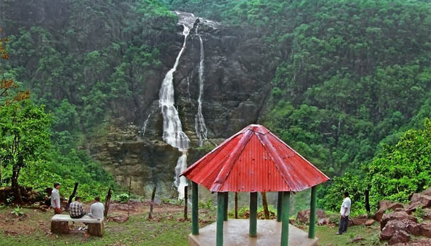 National Parks in India
