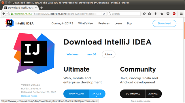 Software IntelliJ IDEA 1