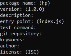 npm Install Command