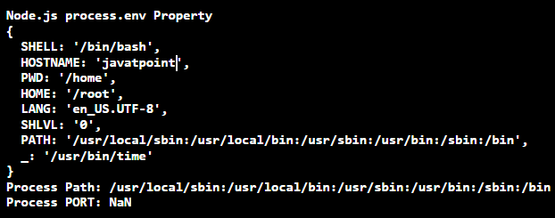 Node.js process.env Property