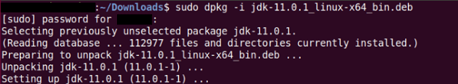 Install Java 11 Ubuntu