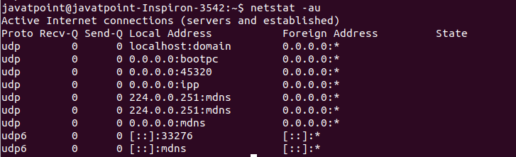 Linux netstat