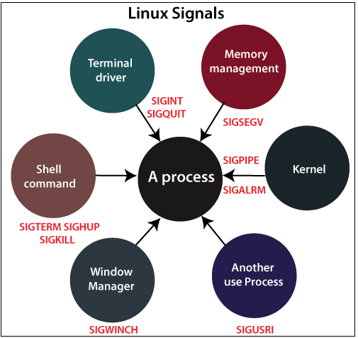 Linux Signals