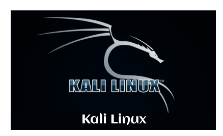 Parrot OS vs. Kali Linux